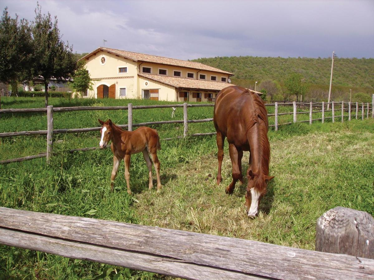 Agriturismo Potrero Grande Sul Lago Di Martignano Con Spiaggia Campagnano Di Roma Extérieur photo