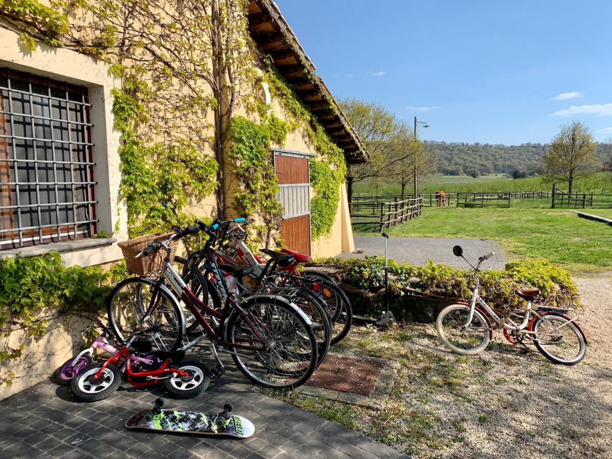 Agriturismo Potrero Grande Sul Lago Di Martignano Con Spiaggia Campagnano Di Roma Extérieur photo