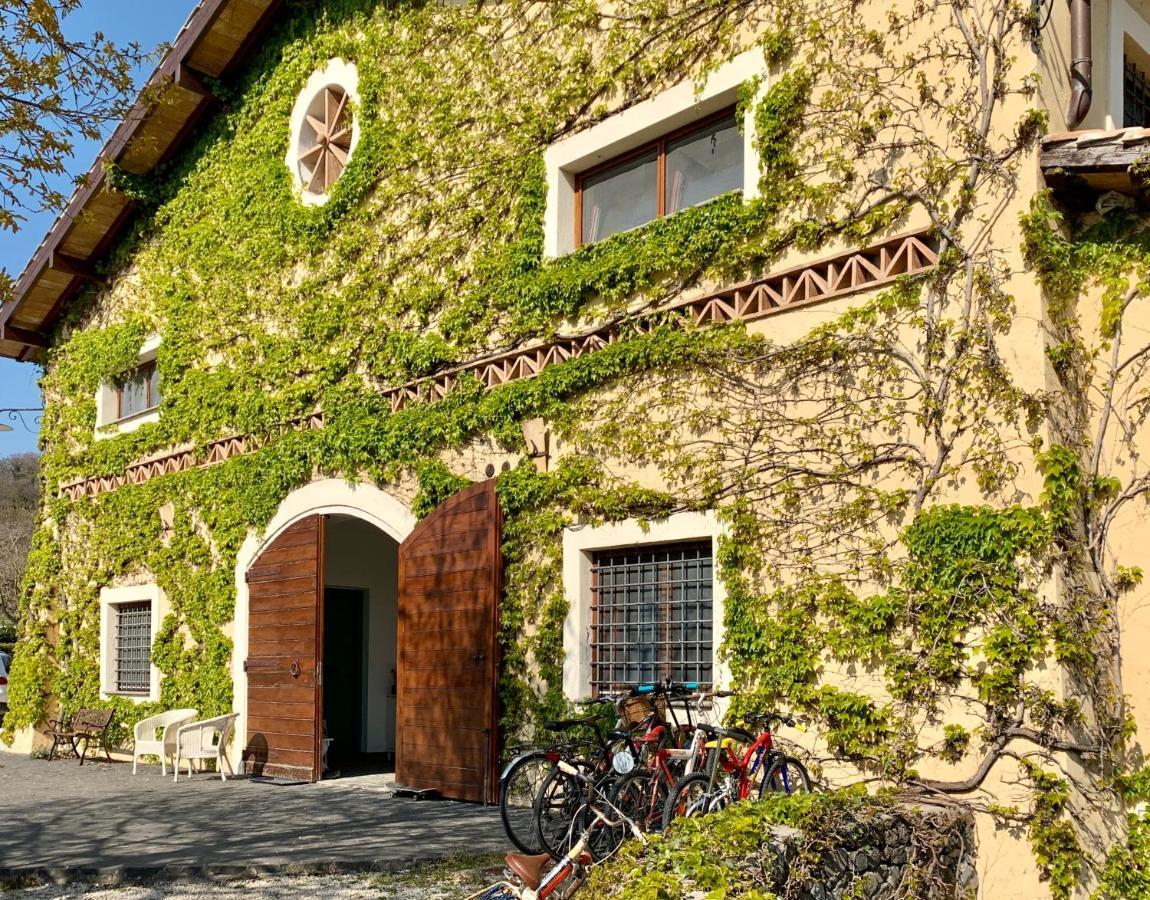 Agriturismo Potrero Grande Sul Lago Di Martignano Con Spiaggia Campagnano Di Roma Extérieur photo