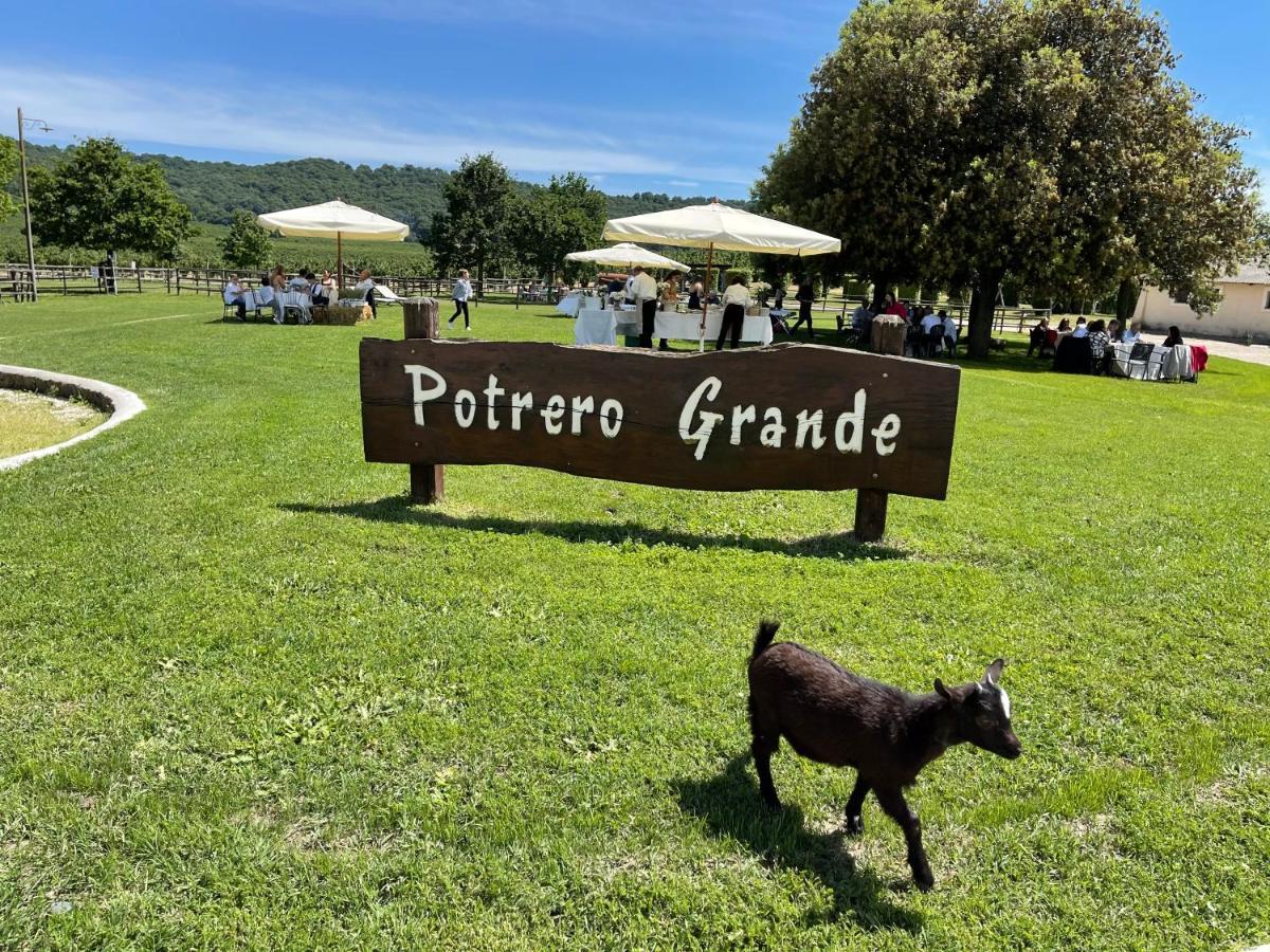 Agriturismo Potrero Grande Sul Lago Di Martignano Con Spiaggia Campagnano Di Roma Extérieur photo