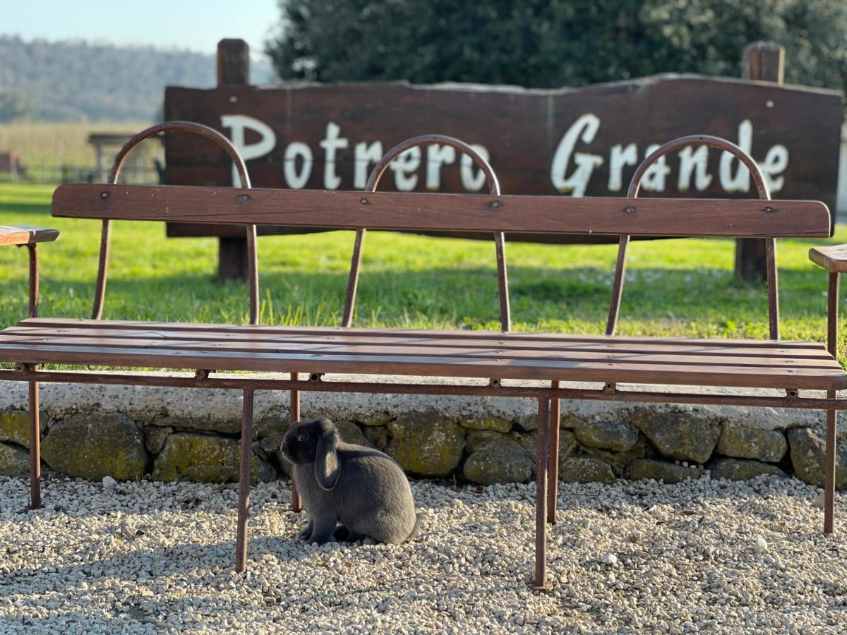 Agriturismo Potrero Grande Sul Lago Di Martignano Con Spiaggia Campagnano Di Roma Extérieur photo