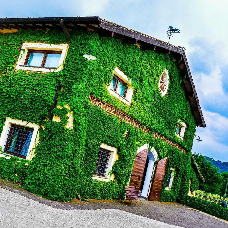 Agriturismo Potrero Grande Sul Lago Di Martignano Con Spiaggia Campagnano Di Roma Extérieur photo